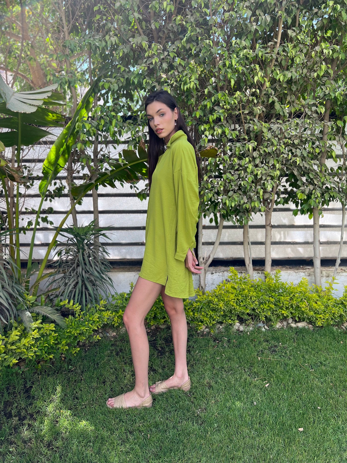 Everyday Shirt in Lime