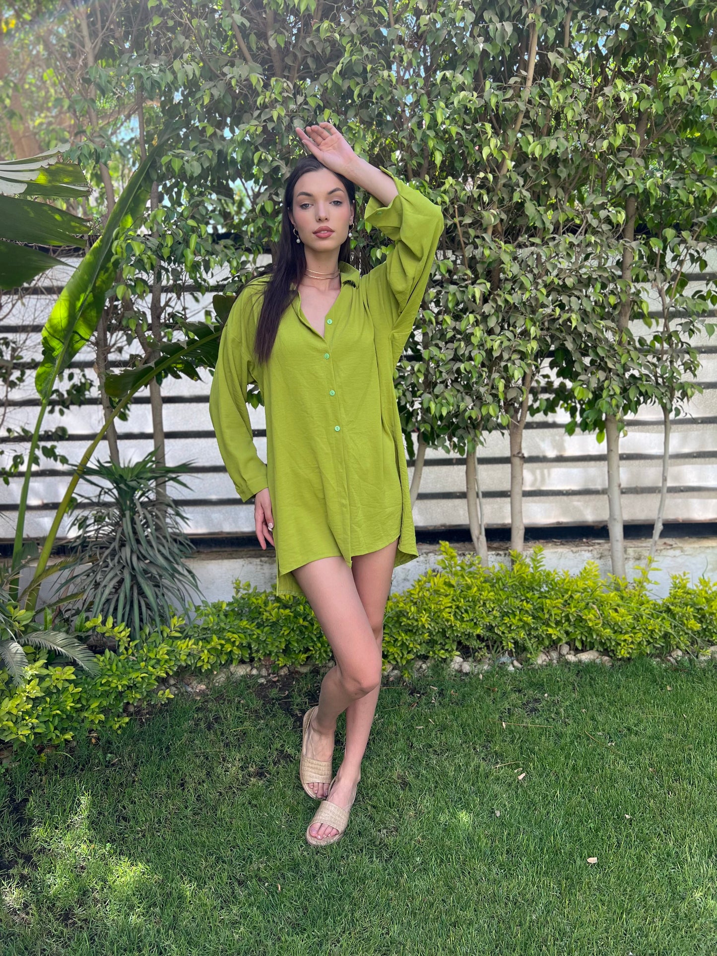 Everyday Shirt in Lime